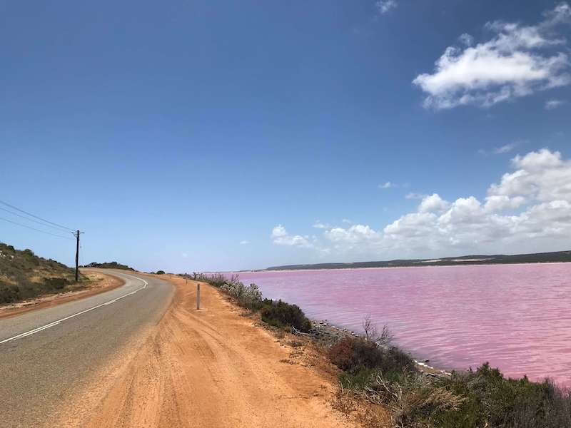 Road along the pink lake