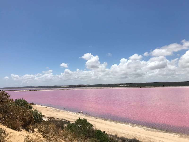 Pink lake