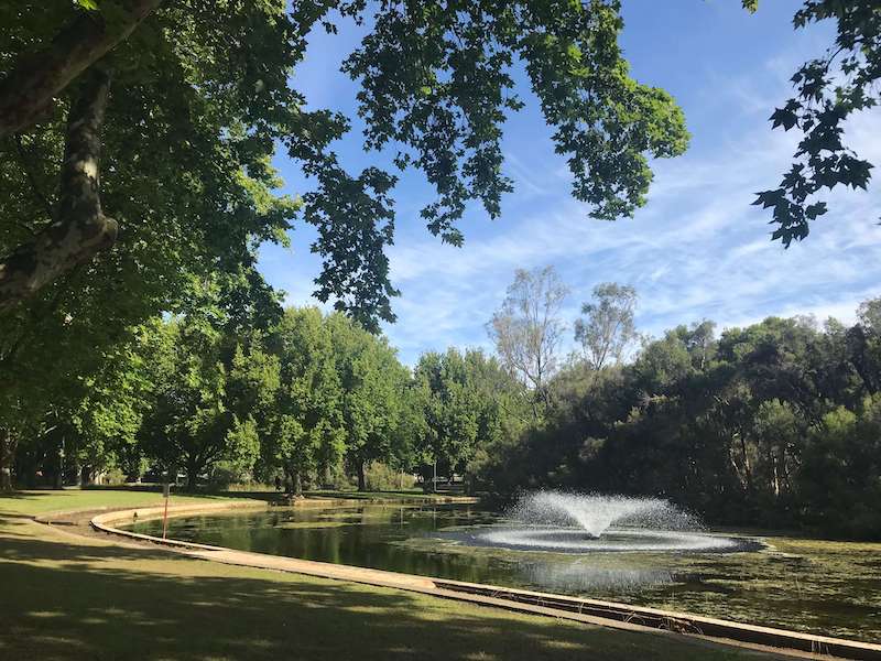 Fountain in Hyde park
