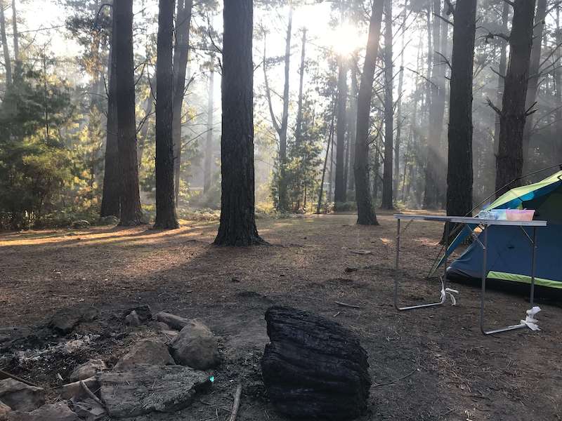 木漏れ日キャンプ